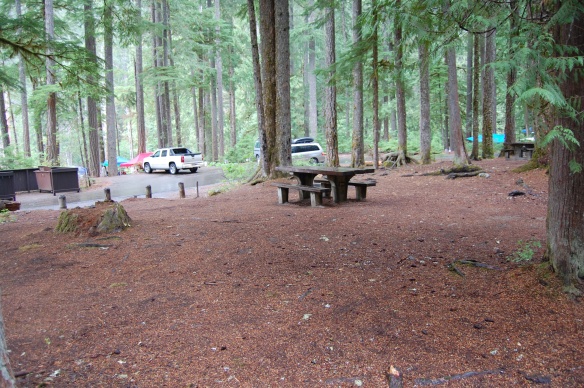 Ohanapecosh Campground